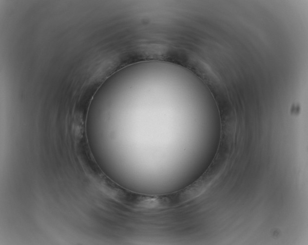 X0000092000083200709201518