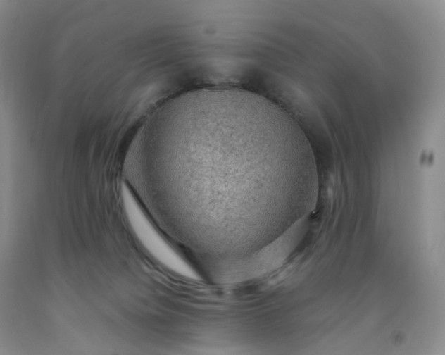 X0000092000084200709201518