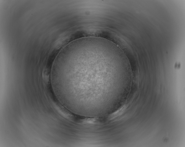 X0000092000086200709201518