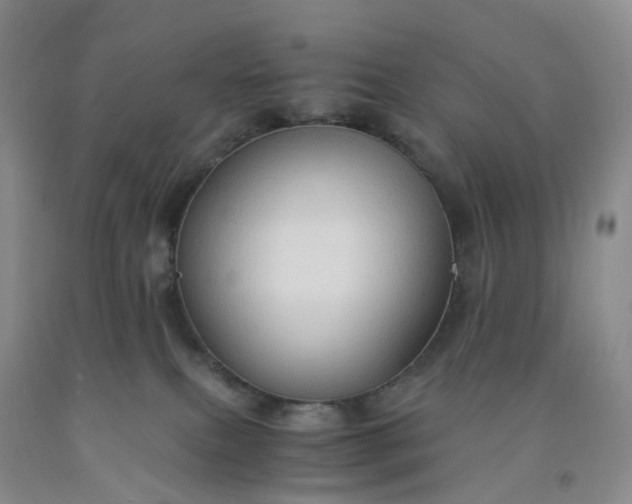 X0000092000087200709201518