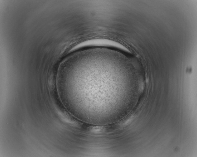 X0000092000088200709201518