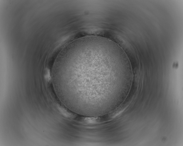 X0000092000089200709201518