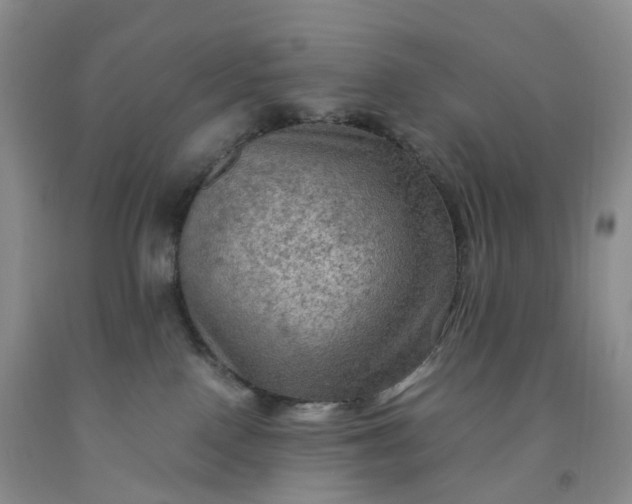 X0000092000090200709201518