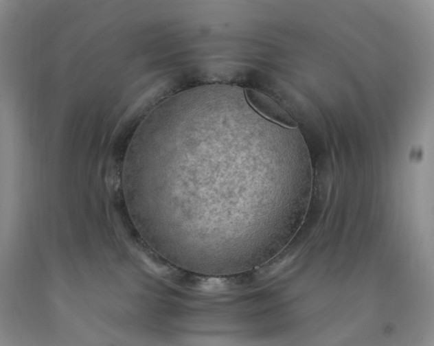 X0000092000091200709201518