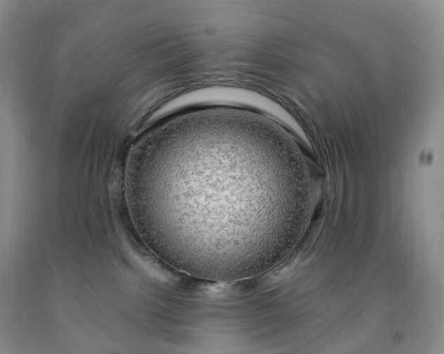 X0000092000092200709201518