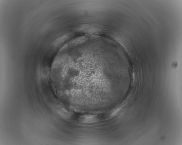 X0000092000093200709201518