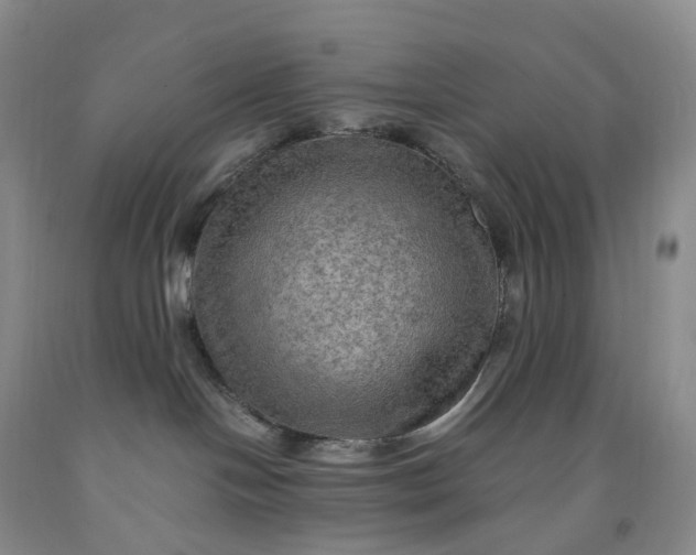 X0000092000094200709201518