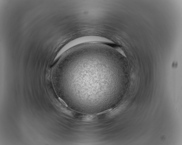 X0000092000096200709201518