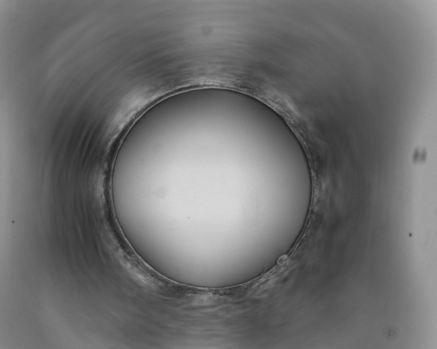 X0000092000098200709201517