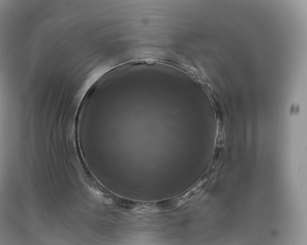 X0000092000099200709201517