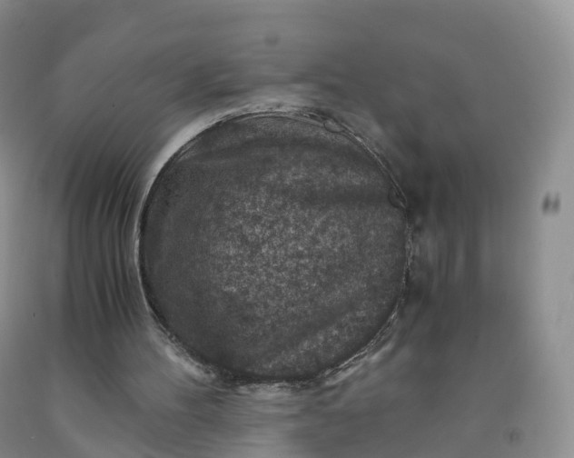 X0000092000100200709201517