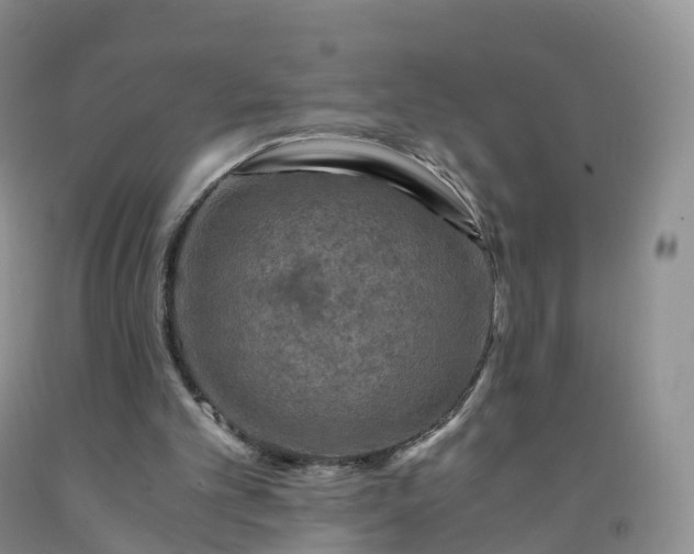 X0000092000101200709201517