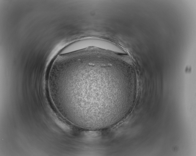 X0000092000102200709201517