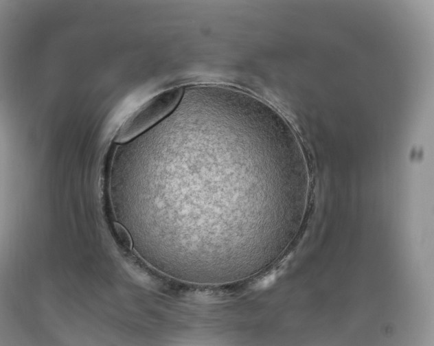 X0000092000103200709201517