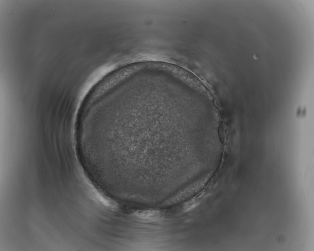 X0000092000104200709201517