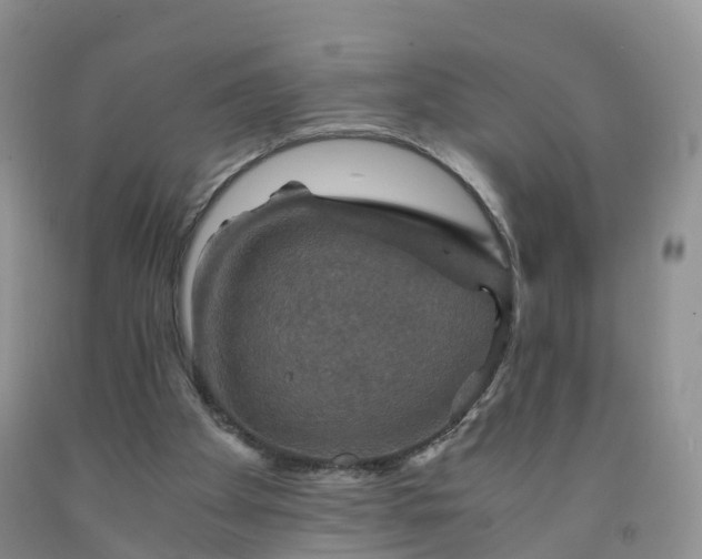 X0000092000105200709201517