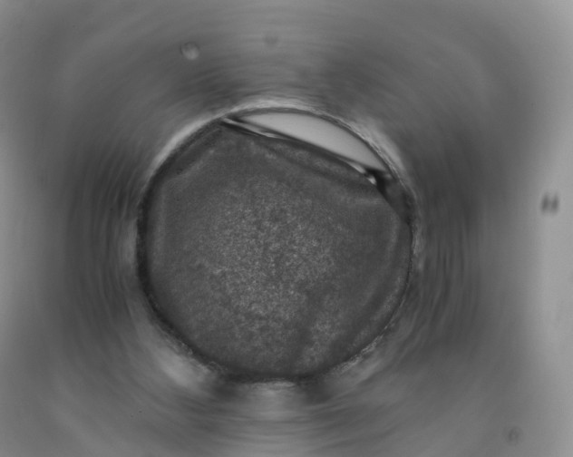 X0000092000108200709201517