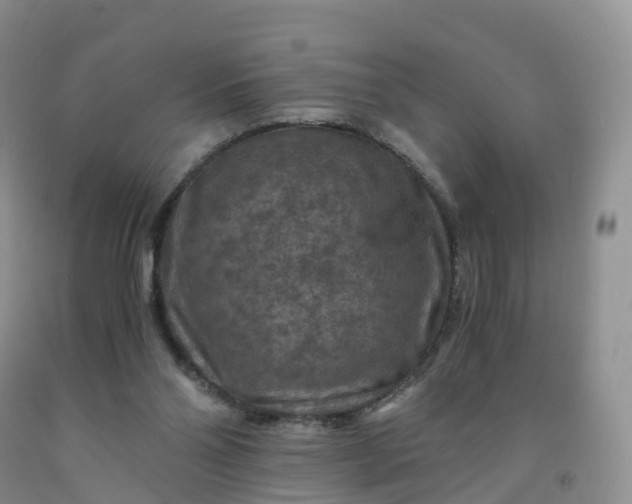 X0000092000110200709201517