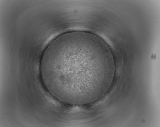 X0000092000111200709201517