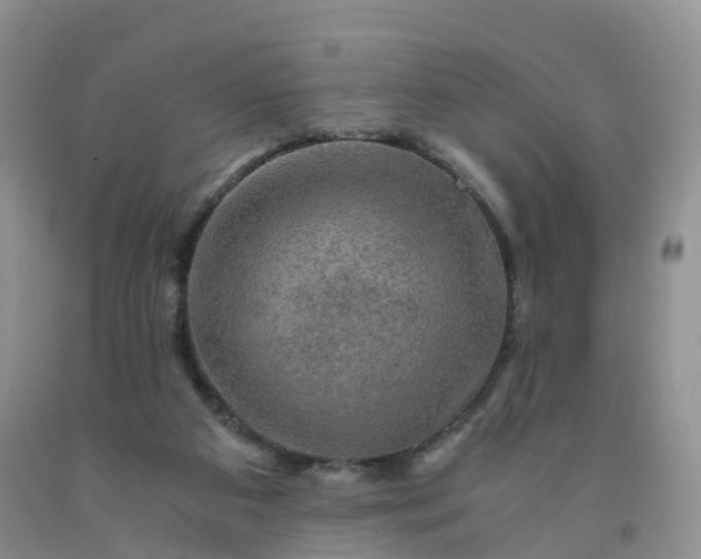 X0000092000113200709201517