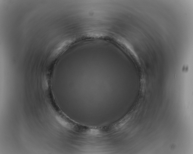 X0000092000114200709201517