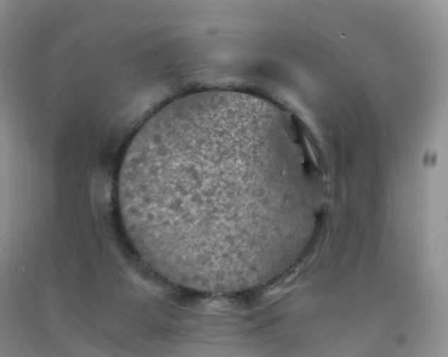 X0000092000115200709201517