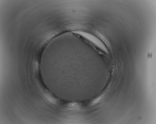 X0000092000117200709201517