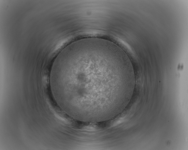 X0000092000119200709201517