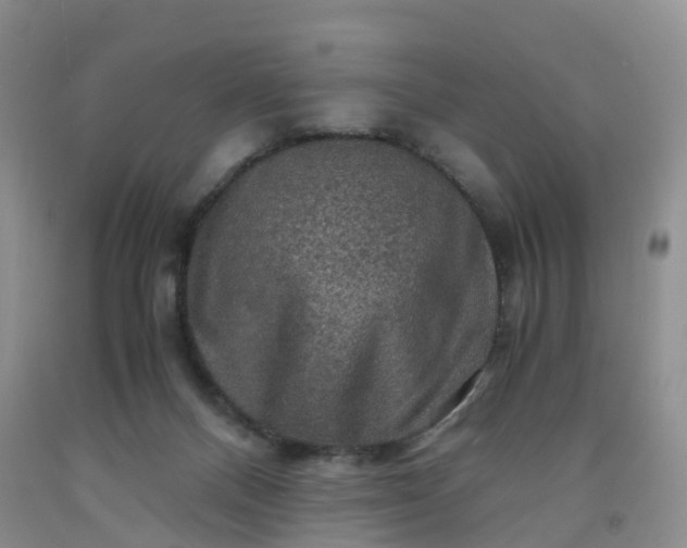 X0000092000120200709201517