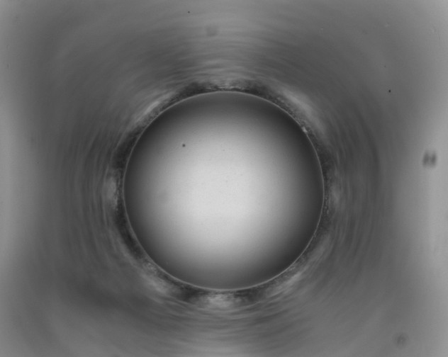 X0000092000121200709201517