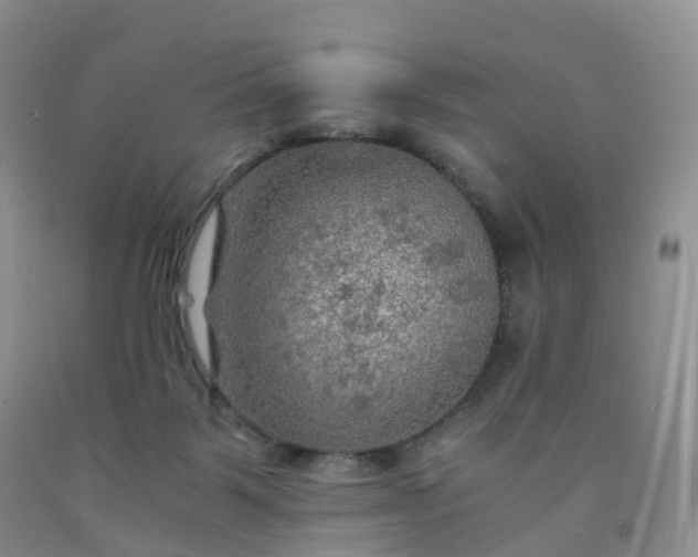 X0000092000123200709201517