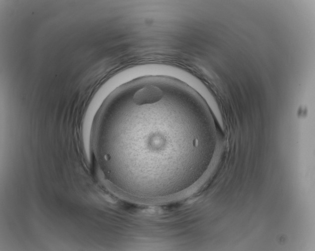 X0000092000125200709201517