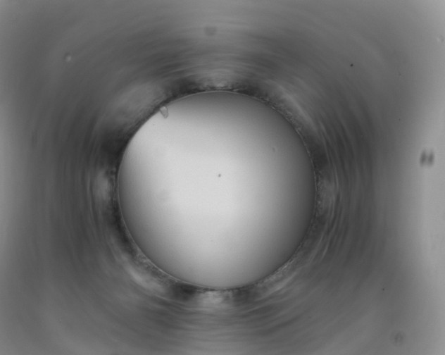 X0000092000126200709201517