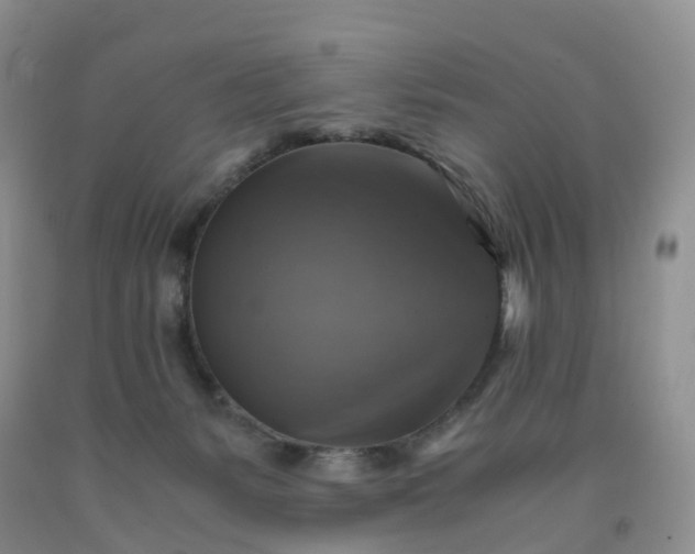 X0000092000127200709201517