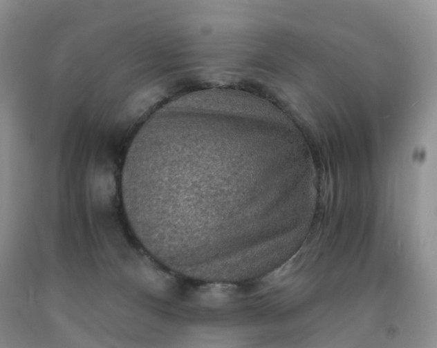 X0000092000128200709201517