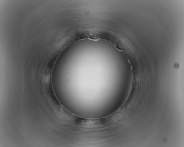 X0000092000129200709201517