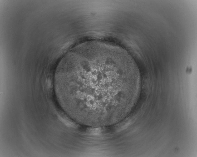 X0000092000131200709201517