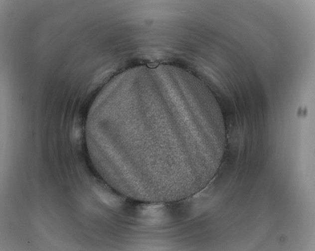 X0000092000132200709201517