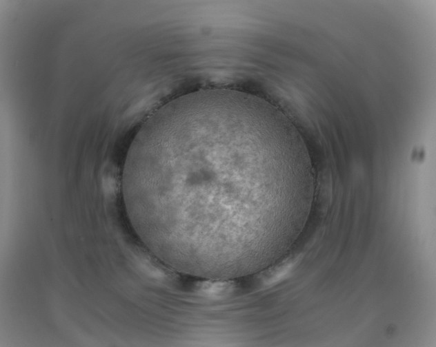 X0000092000135200709201517