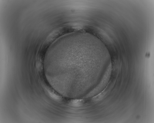 X0000092000136200709201517