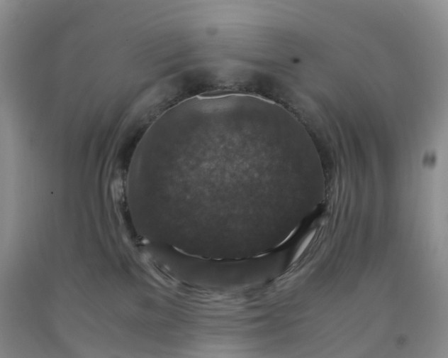 X0000092000137200709201517