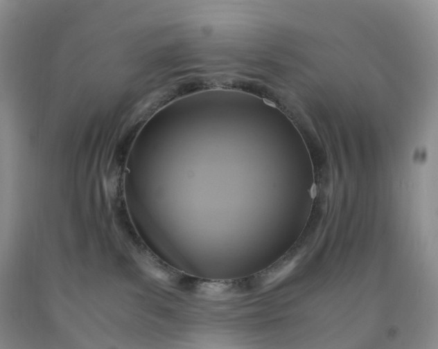 X0000092000139200709201517