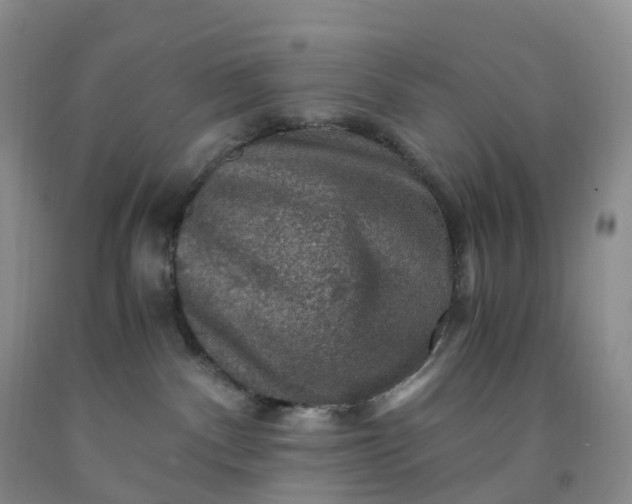 X0000092000140200709201517