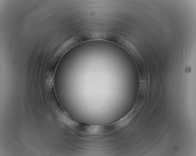 X0000092000142200709201517