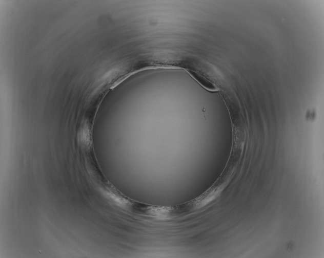 X0000092000143200709201517