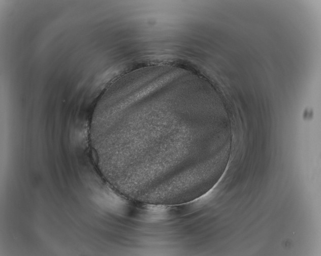 X0000092000144200709201517