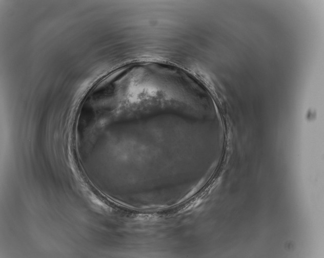 X0000092000145200709201516