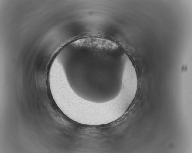 X0000092000146200709201516