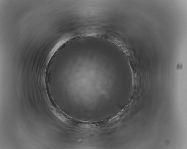 X0000092000147200709201516