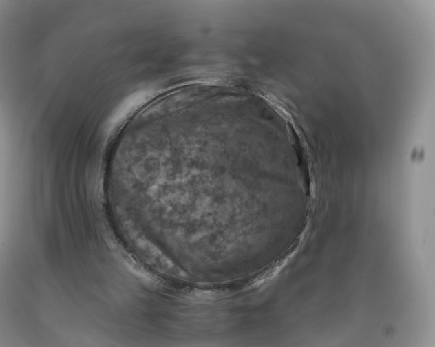 X0000092000149200709201516